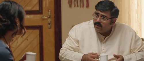Mona Singh and Akarsh Khurana in Yeh Meri Family (2018)