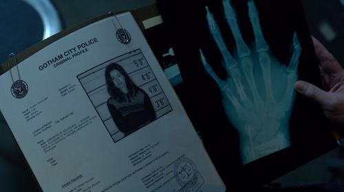 Julia Chan in Gotham (2014)