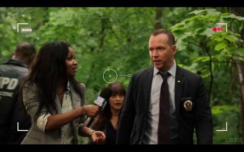 Blue Bloods