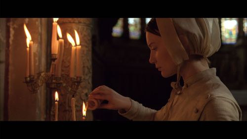 Mia Wasikowska - Madame Bovary
