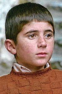 Babek Ahmedpoor
