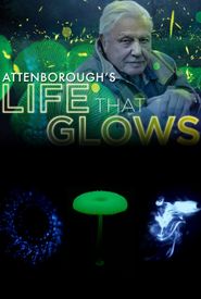 Attenborough's Life That Glows