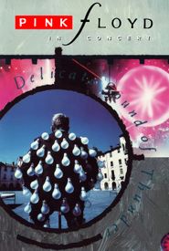 Pink Floyd: Delicate Sound of Thunder