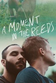 A Moment in the Reeds