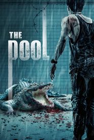 The Pool