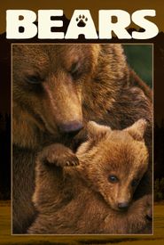 Bears