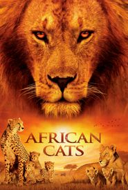 African Cats