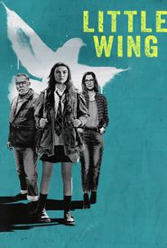 Little Wing