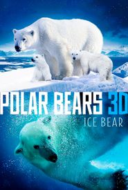 Polar Bears: Ice Bear