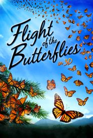 Flight of the Butterflies