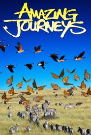 Amazing Journeys