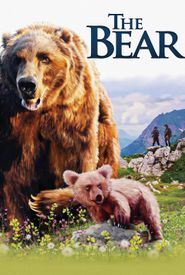 The Bear