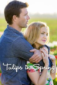 Tulips in Spring