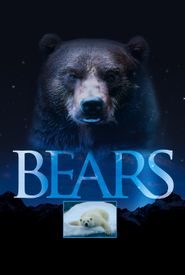Bears