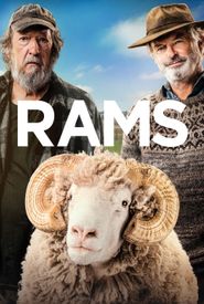 Rams