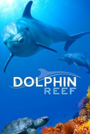 Dolphin Reef
