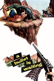 A Bullet Is Waiting