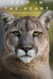 Deep in the Heart: A Texas Wildlife Story