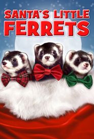 Santa's Little Ferrets