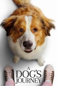 A Dog's Journey
