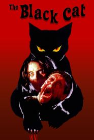 The Black Cat