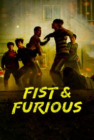 Fist & Furious