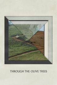 Under the Olive Trees