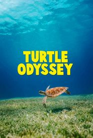 Turtle Odyssey