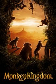 Monkey Kingdom