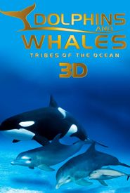 Dolphins and Whales 3D: Tribes of the Ocean