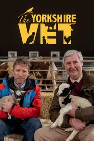 The Yorkshire Vet