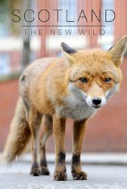 Scotland: The New Wild