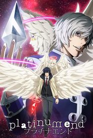 Platinum End