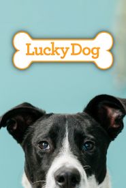 Lucky Dog