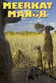 Meerkat Manor