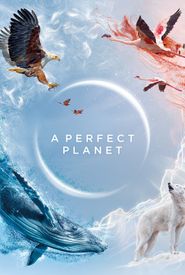A Perfect Planet