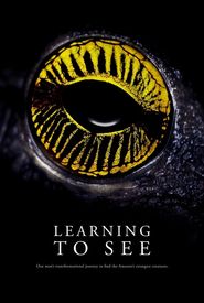 Learning to See: The World of Insects