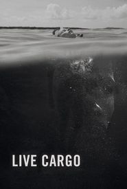 Live Cargo