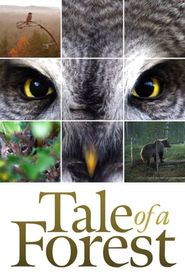 Tale of a Forest