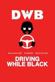 Driving While Black