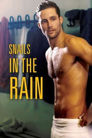 Snails in the Rain