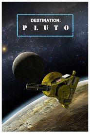 Destination: Pluto Beyond the Flyby