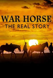War Horse: The Real Story