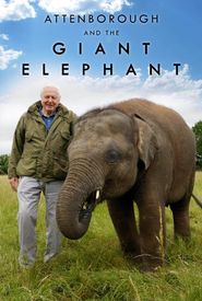 Attenborough and the Giant Elephant