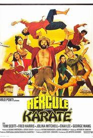 Mr. Hercules Against Karate