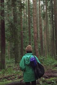 Forest Movie