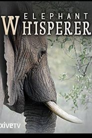 Elephant Whisperer