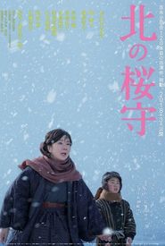 Sakura Guardian in the North