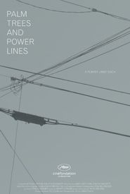 Palm Trees and Power Lines