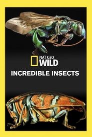 Incredible Bugs